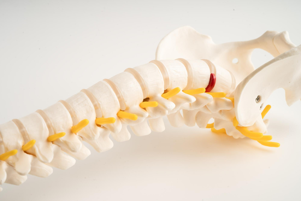 Fisioterapia para espina bífida